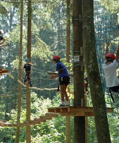 Children wearing helmets navigate a tree-based rope obstacle course.
