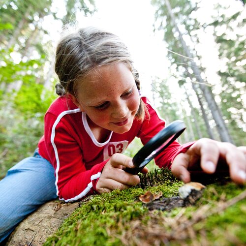 Girl examines moss on a forest log with magnifying glass