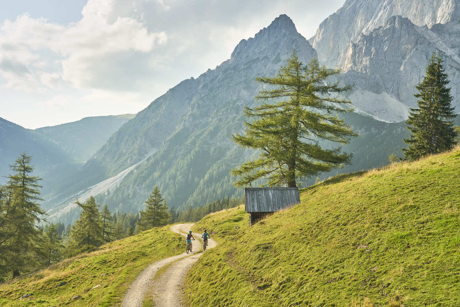 Two cyclists ride along a winding mountain path.