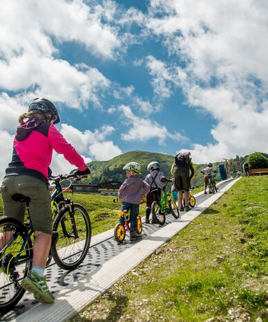 Children biking on a raised hillside path.