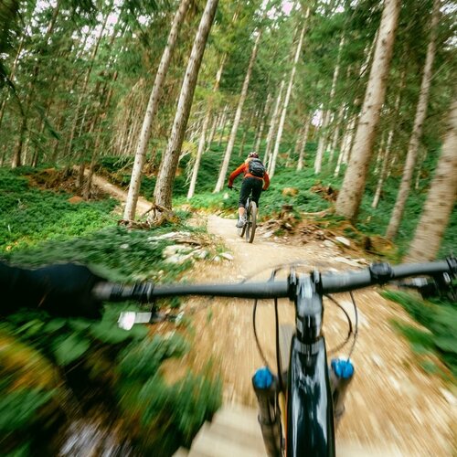 First-person view of a mountain biker on a forest trail