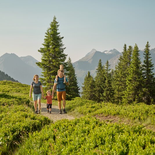 Family hiking on alpine trail among evergreen trees and mountains | © Peter Burgstaller