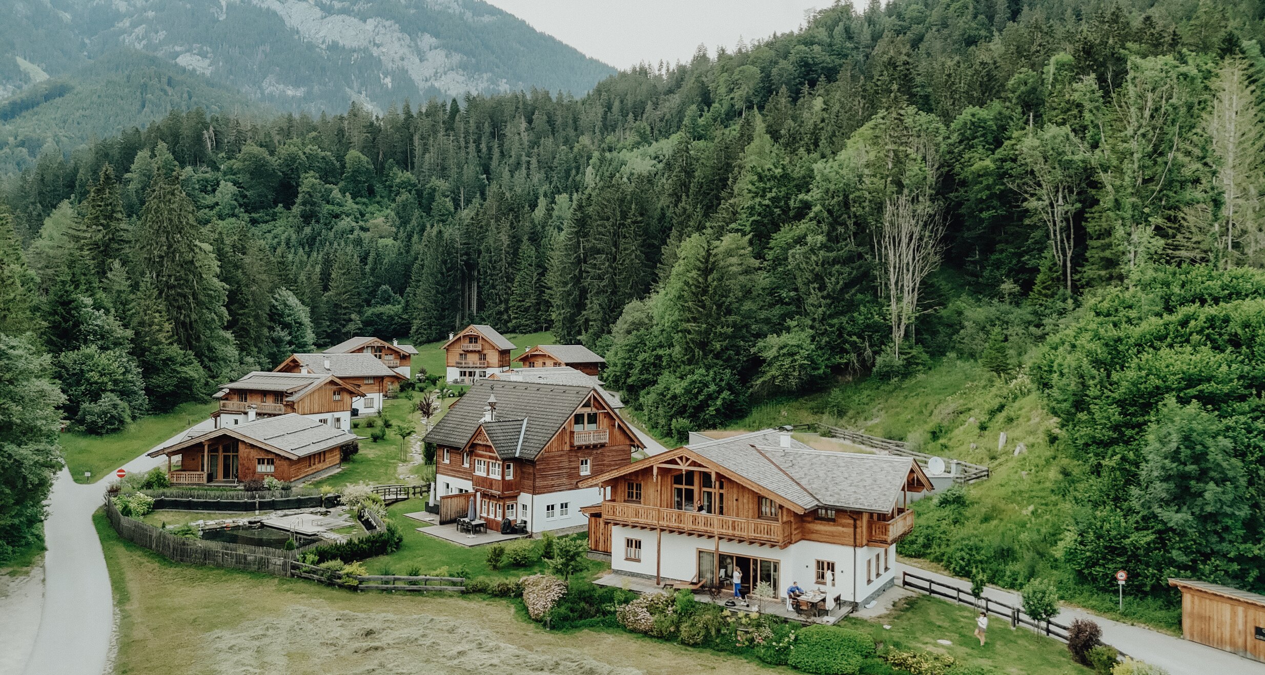 Wooden alpine houses nestled in a forest valley