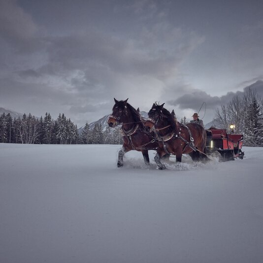 Two brown horses pull a red sleigh across snow | © Raphael Gabauer