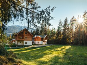 Sunlit forest chalet with surrounding meadow and mountains