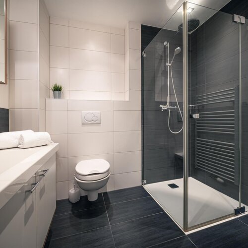 Modern bathroom with glass shower, toilet and sink
