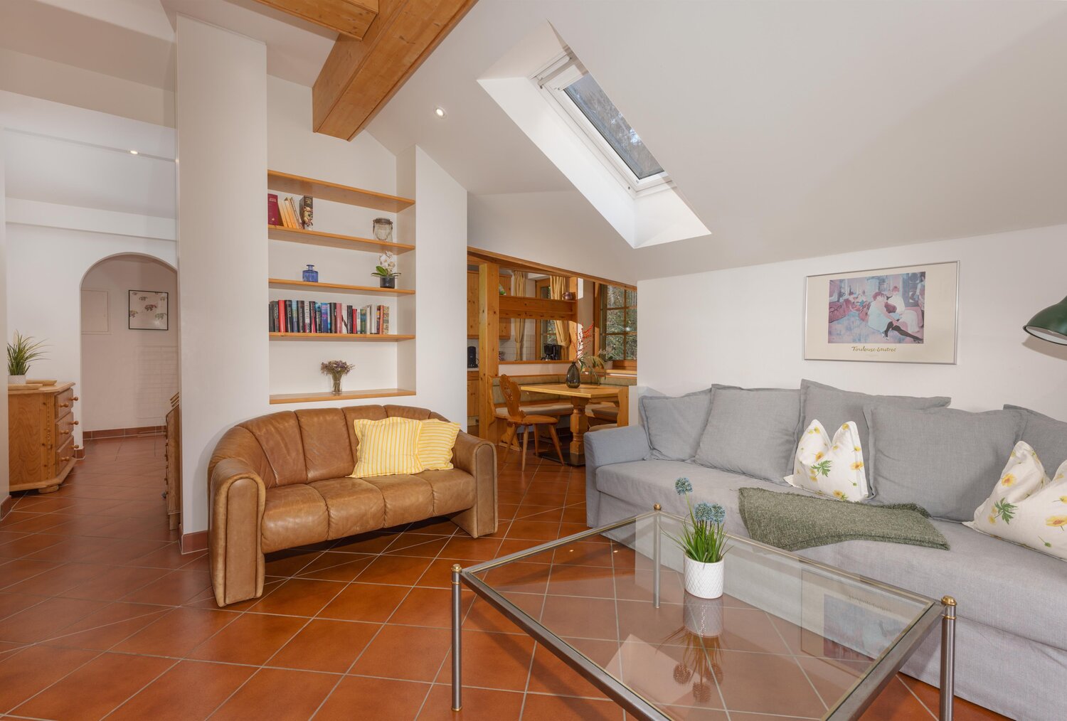 Bright living room with skylight, brown leather sofa and gray sofa