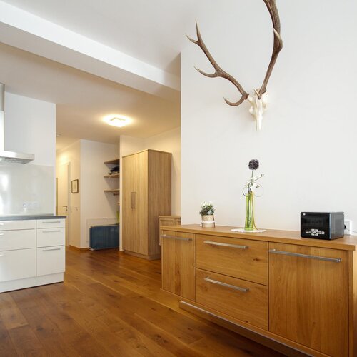 Open-plan living area with wooden floor and deer antler wall mount