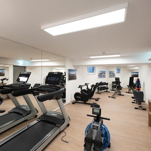 Cardio machines and free weights in gym