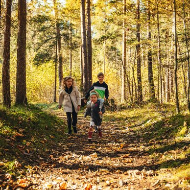 Three children running along a sunlit forest path in autumn