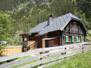 Rustic wooden chalet with green shutters in meadow