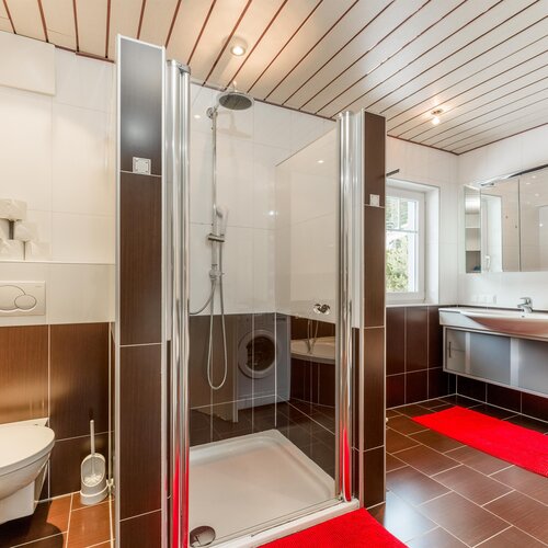 Modern bathroom with glass shower enclosure, sink, and toilet
