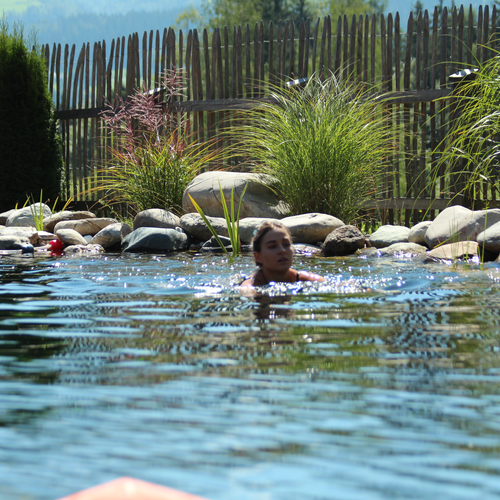 Person schwimmt in einem angelegten Teich mit Steinen und Pflanzen | © SCHLADMING-APPARTEMENTS